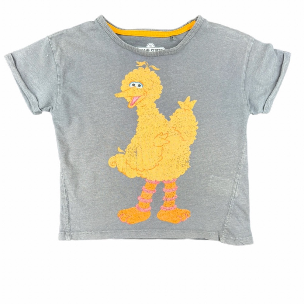SESAME STREET Short Sleeve Big Bird Boxy Oversized Tee - 3-4Y
